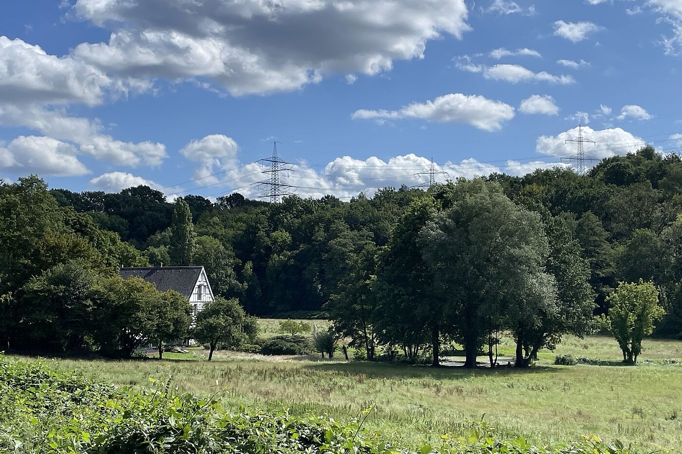 ein Haus im Grünen 