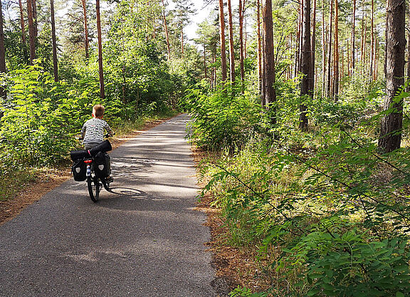 Kind fährt Fahrrad im Wald Kind fährt mit dem Rad im Wald