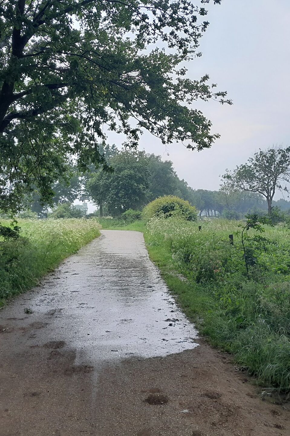 kurze Regenpause unter einer Autobahnbrücke kurze Regenpause unter einer Autobahnbrücke